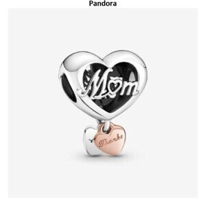 Pandora charms